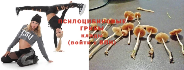 ALPHA-PVP Няндома
