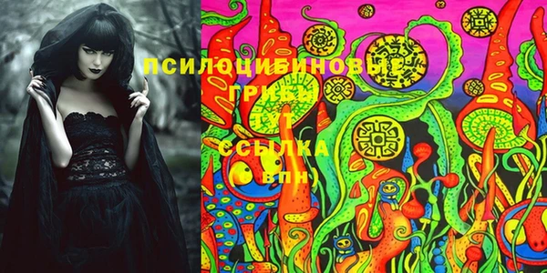 ALPHA-PVP Няндома