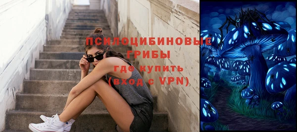 ALPHA-PVP Няндома