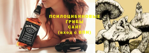 spice Нязепетровск