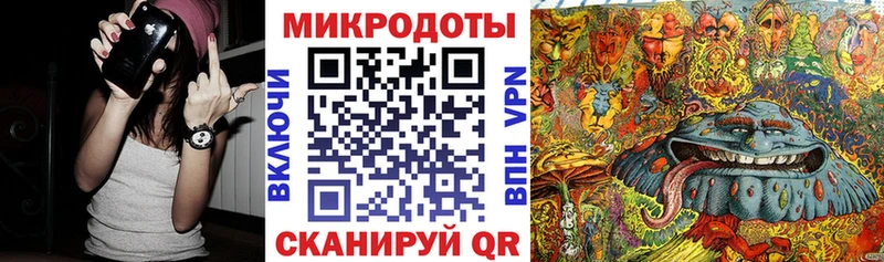 Псилоцибиновые грибы мухоморы  Пудож 